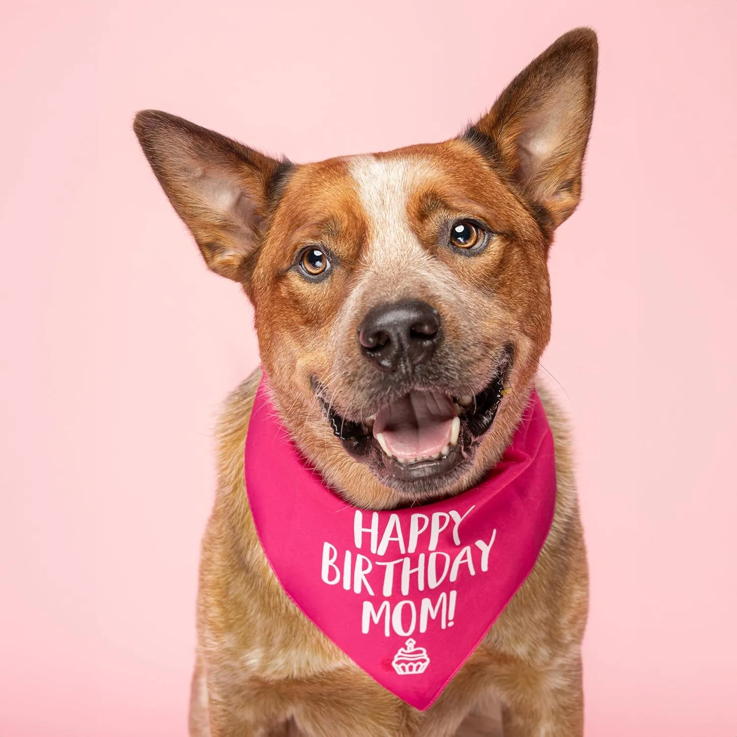 Happy Birthday Mom! Dog Bandana | 100% Cotton Adjustable Triangle | Made in USA | Birthday Pawty | Party Theme | Celebration Photoshoot Prop | Mom Dad | Camo, One Size (168)